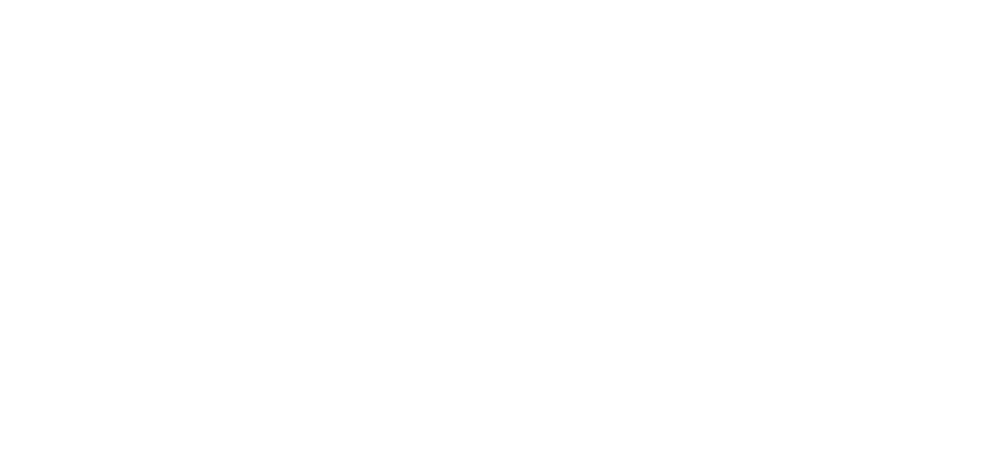 logo Wellcraft